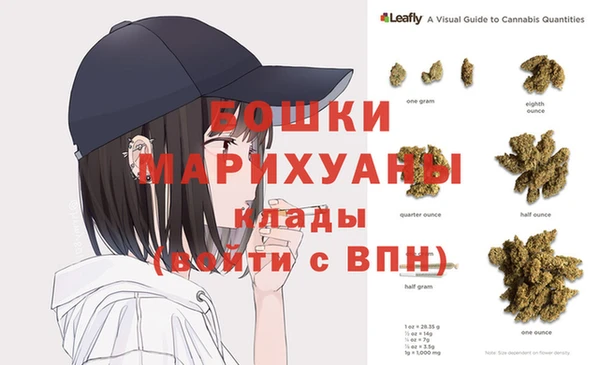 PSILOCYBIN Нязепетровск