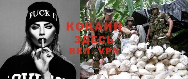 экстази Няндома